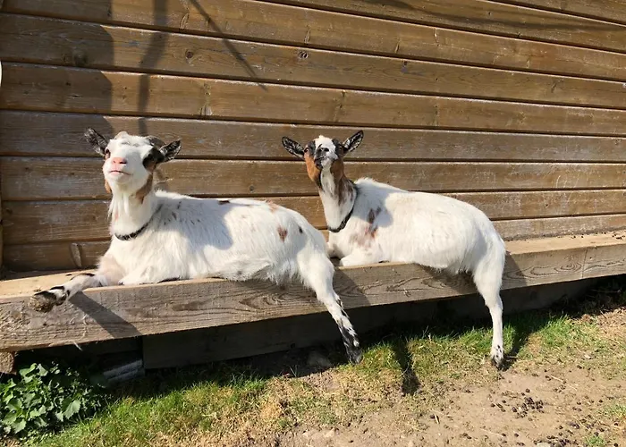 アパート Sonnenschloessl *