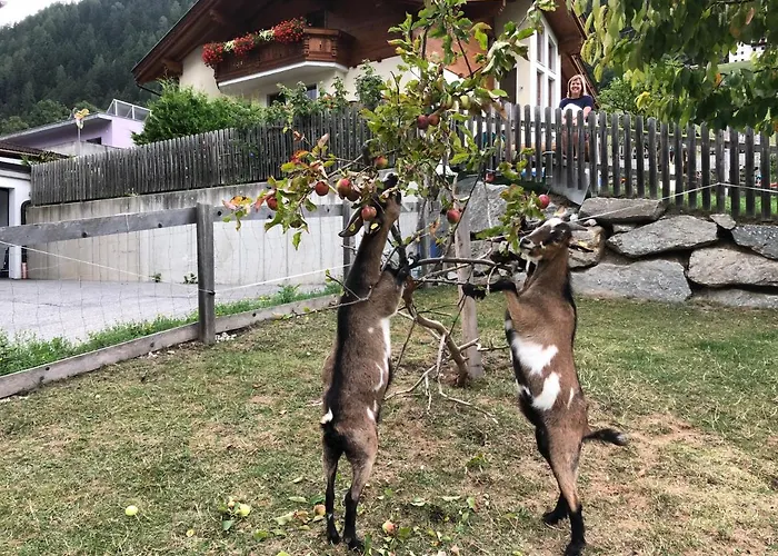 Sonnenschloessl * ノイシュティフト・イム・シュトゥーバイタール