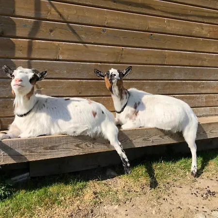 Appartement Sonnenschlossl *