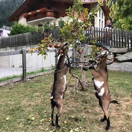 Sonnenschlossl * Neustift im Stubaital